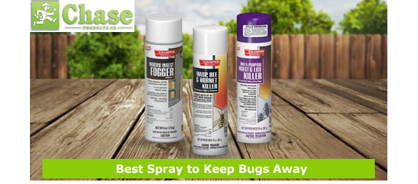 Best Spray to Keep Bugs Away