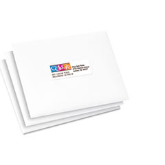 AVE8250 - Avery® Mailing Labels