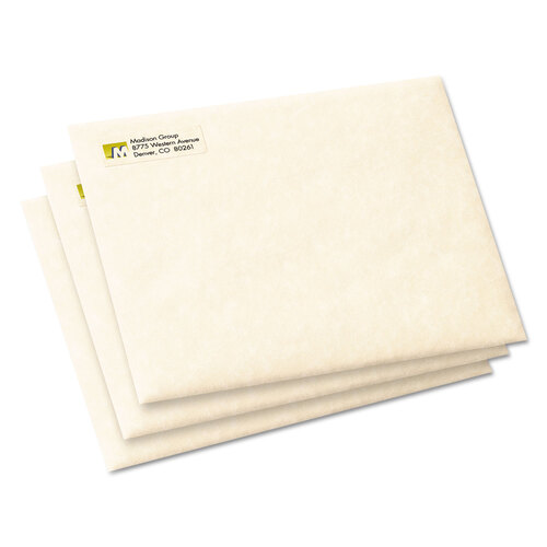 AVE8667 - Avery - Matte Clear Easy Peel Mailing Labels with Sure Feed Technology, Inkjet Printers, 0.5 x 1.75, Clear, 80/Sheet, 25 Sheets/Pack
