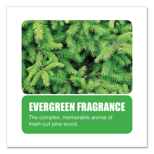 BGD660 - Big D Industries - Extra Duty Urinal Screen with Non-Para Block, Evergreen with Enzymes Scent, White, Dozen