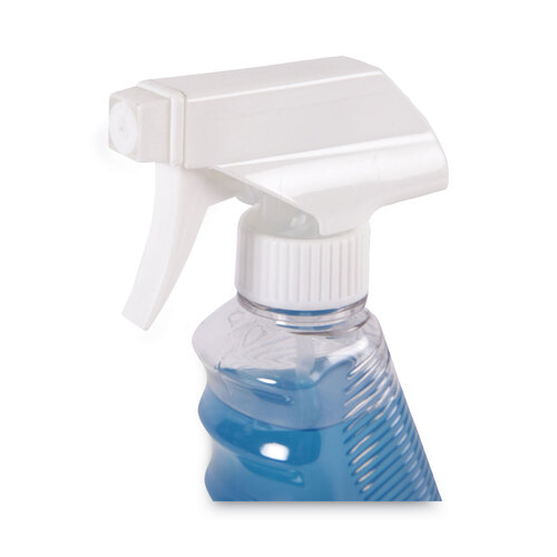 BWK47112AEA - Boardwalk - Boardwalk Industrial Strength Glass Cleaner with Ammonia, 32 oz Trigger Bottle