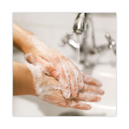 DIA33821 - Dial Professional - Basics MP Free Liquid Hand Soap, Unscented, 1 L Refill Bottle, 8/Carton