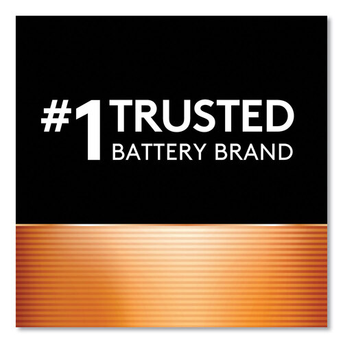 Duracell Mn1500B4Z Coppertop Alkaline Retail Battery With Duralock Power  Preserve Technology