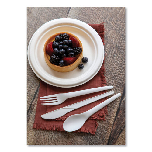 ECOEPP016NFA - Eco-Products - Vanguard Renewable and Compostable Sugarcane Plates, 6&quot; dia, White, 1,000/Carton