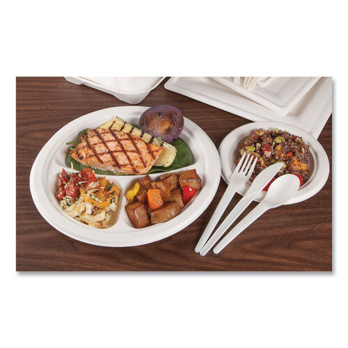ECOEPP016NFA - Eco-Products - Vanguard Renewable and Compostable Sugarcane Plates, 6&quot; dia, White, 1,000/Carton