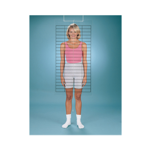 Baseline Posture Grid Baseline Posture Grid