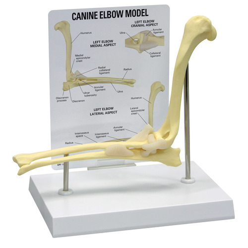 GPI9070 - GPI Manufacturing - Canine Elbow