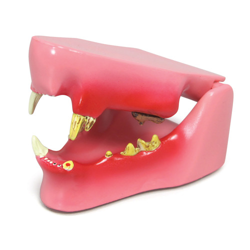 GPI9190 - GPI Manufacturing - Feline Jaw