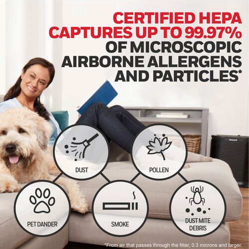 HWLHRFG1 - Honeywell - Filter G True HEPA Air Purifier Filter, 1.5 x 10