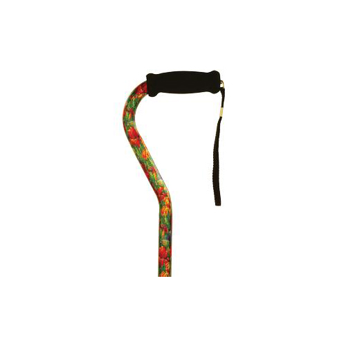 INDMNT10912-EA - Alex Orthopedic - Alex Orthopedic Offset Handle Cane, Summer Garden, 1/EA