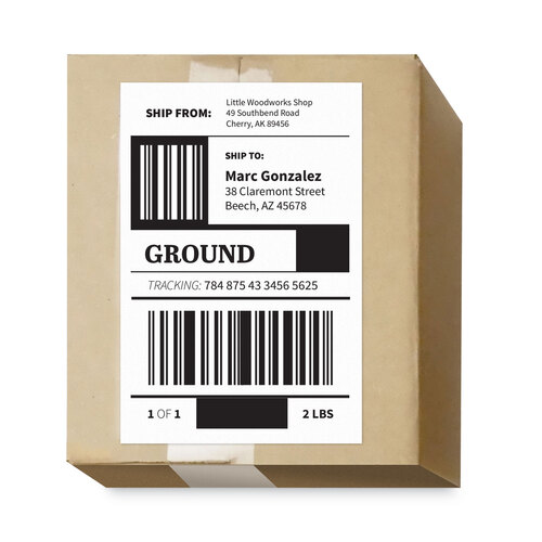MACML0200 - Chartpak - Cover-All Opaque Laser/Inkjet Shipping Labels, Internet Format, 5.5 x 8.5, White, 2 Labels/Sheet, 100 Sheets/Box