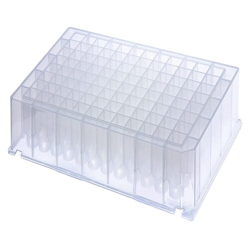 MON1165657PK - Fisher Scientific - 96-Well PCR Plate KingFisher&trade; Deep Well / V Bottom 2 mL Clear NonSterile