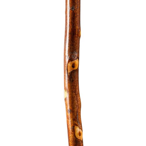 MON1237877EA - Mabis Healthcare - Walking Stick Brazos Free Form Wood 58 Inch Height Hawthorn, 1 Each