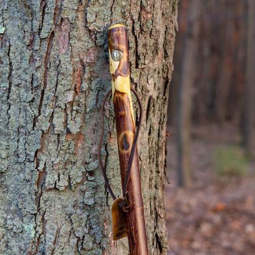 MON1237877EA - Mabis Healthcare - Walking Stick Brazos Free Form Wood 58 Inch Height Hawthorn, 1 Each