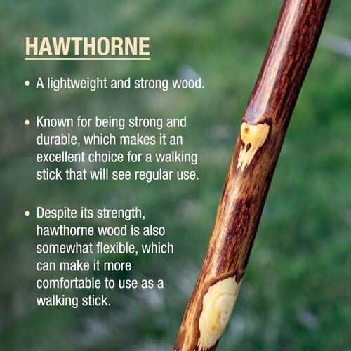 MON1237877EA - Mabis Healthcare - Walking Stick Brazos Free Form Wood 58 Inch Height Hawthorn, 1 Each