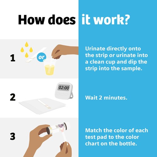 MON1244782CS - Siemens - Siemens Urinalysis Test Kit Clinistix Urinary Tract Infection Detection 5 Tests per Kit CLIA Waived