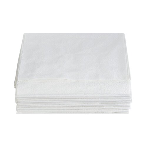 MON201055CS - McKesson - General Purpose Drape Physical Exam Drape 40 X 48 Inch NonSterile, 100EA/CS