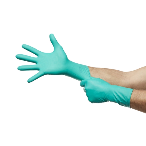 MON364347CS - Ansell - Ansell Surgical Glove GAMMEX Non-Latex Size 8 Sterile Polyisoprene Standard Cuff Length Micro-Textured Green Chemo Tested, 200 EA/CS