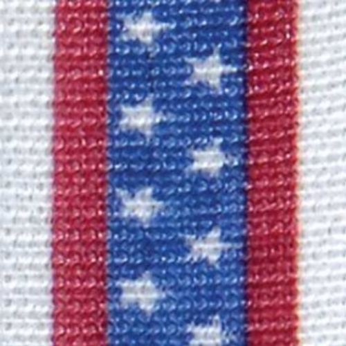 MON443809BX - BSN Medical - Cast Tape Delta-Cast&reg; Prints 3 Inch X 12 Foot Polyester Stars and Stripes Print, 10/BX