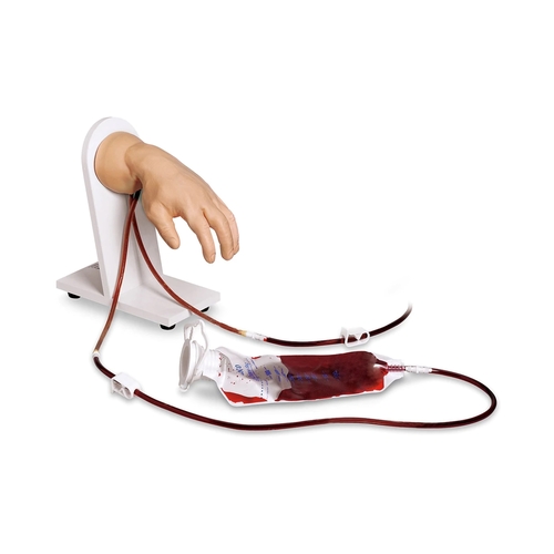 MON679281EA - Nasco - Advanced IV Hand Model Life/Form&reg; , 1/EA