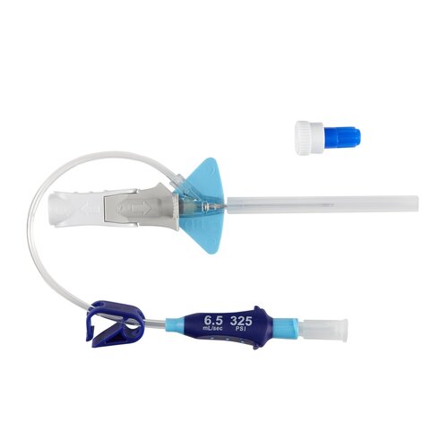 MON788455CS - BD - BD Closed IV Catheter Nexiva Diffusics 22 Gauge 1 Inch Without Safety, 80 EA/CS