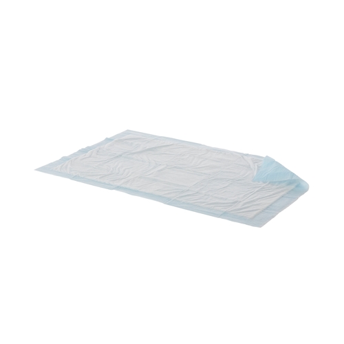 Underpad ProCare™ 21 X 34 Inch Disposable Fluff Light Absorbency