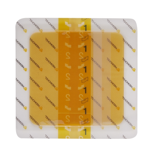 MON860465CS - McKesson - McKesson Wound Dressing MEDIHONEY HCS 4-1/2 x 4-1/2" Square, 5 EA/CS