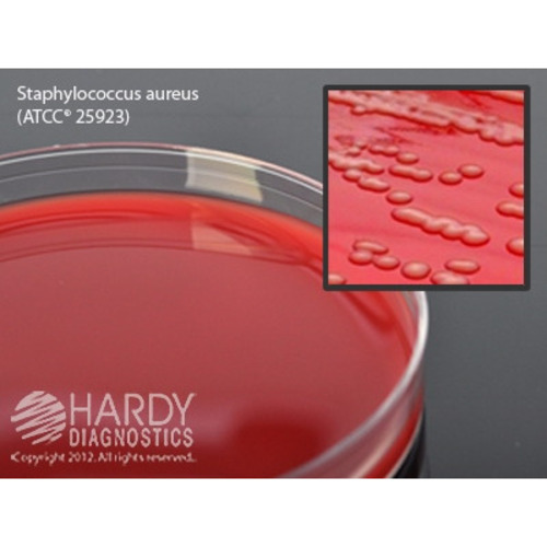 MON883483BX - Hardy Diagnostics - Prepared Media Tryptic Soy Agar (TSA) with 5% Sheep Blood Red Petri Plate Format, 10/BX