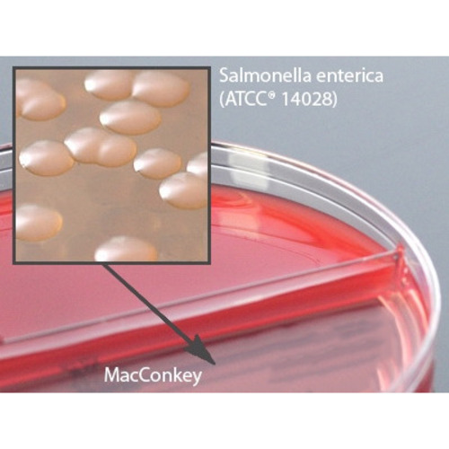 MON914512BX - Hardy Diagnostics - Prepared Media Blood Agar / MacConkey Biplate Red / Crimson Bi-Plate Format, 10/BX