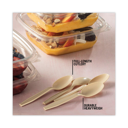PCTYPSMSTEC - Pactiv - EarthChoice PSM Cutlery, Heavyweight, Spoon, 5.88&quot;, Tan, 1,000/Carton