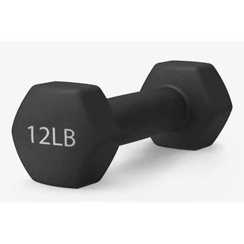 12 lb neoprene store hand weights