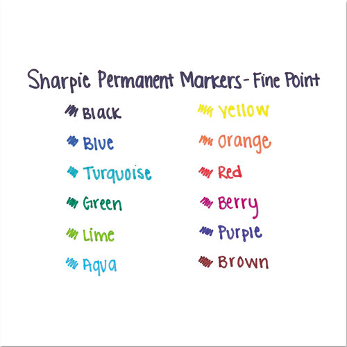 Sharpie Fine Tip Permanent Marker, Fine Bullet Tip, Black, Dozen (30001)