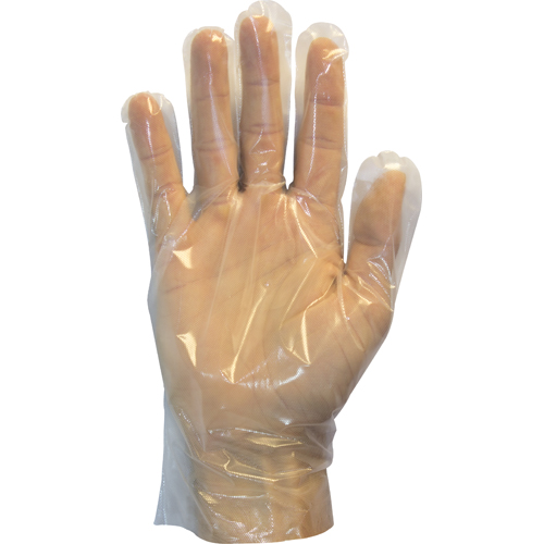 Safety Zone Powder Free Cast Polyethylene Disposable Gloves, 100 per
