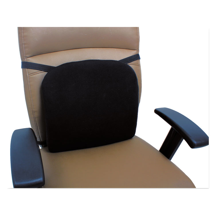 Memory Foam Back Support with Microban