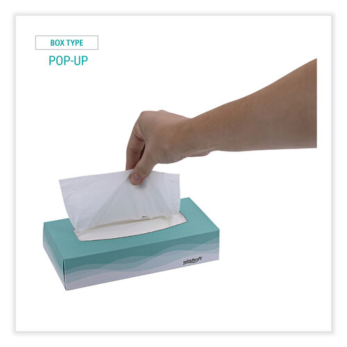 WIN2360 - Windsoft - Facial Tissue, 2 Ply, White, Flat Pop-Up Box, 100 Sheets/Box, 30 Boxes/Carton
