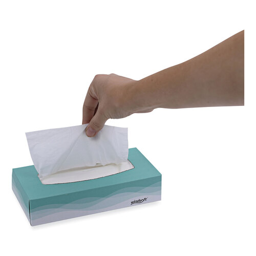 WIN2360 - Windsoft - Facial Tissue, 2 Ply, White, Flat Pop-Up Box, 100 Sheets/Box, 30 Boxes/Carton