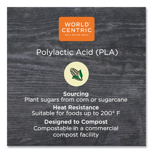 WORRDLCS24 - World Centric - PLA Rectangular Deli Container Lids, 6.5 x 7.5 x 0.3, Clear, Plastic, 600/Carton