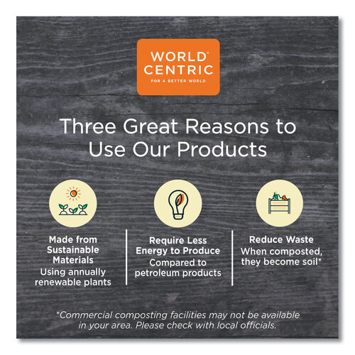 WORRDLCS8 - World Centric - PLA Rectangular Deli Container Lids, 4.8 x 5.9 x 0.3, Clear, Plastic, 900/Carton