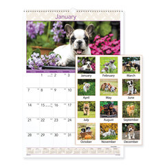 AAGDMW16728 - Puppies Monthly Wall Calendar