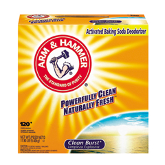 CDC33200-06521 - Clean Burst® Powder Laundry Detergent