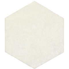 Systagenix PROMOGRAN Prisma Collagen Matrix Dressing 4-1/3 sq. in. Hexagon, PK/10, EA/1