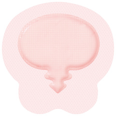 Smith & Nephew ALLEVYN Gentle Gel Adhesive Hydrocellular Foam Dressing with Border, Sacrum 8.5