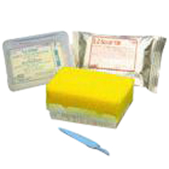 BD E-Z Scrub Surgical Scrub Brush Impregnated with 3% Chloroxylenol (PCMX), EA/1, CS/300