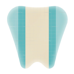 Coloplast Comfeel Plus Sacral Hydrocolloid Dressing 7