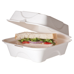 ECPEP-HC6 - Bagasse Hinged Clamshell Containers