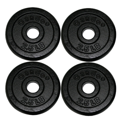 FNT10-0601-4 - Fabrication Enterprises - Iron Disc Weight Plates - 10 lb. Set (4 Each: 2.5 lb. Weights)