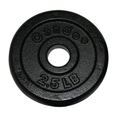 FNT10-0601 - Fabrication Enterprises - Iron Disc Weight Plate - 2.5 lb