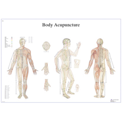 FNT12-4602P - Fabrication Enterprises - Anatomical Chart - Acupuncture Body, Paper