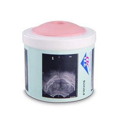 Fabrication Enterprises Prostate Examination Trainer, 4 stages