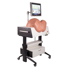 FNT12-4837 - Fabrication Enterprises - SIMone™ - Birthing Simulator